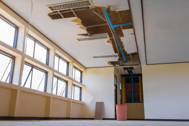 Best Flood damage cleanup  in High Rolls, NM