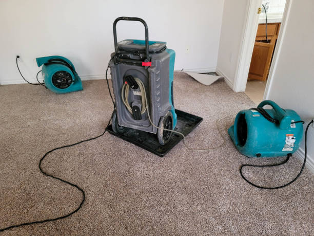 Best Flood damage cleanup  in High Rolls, NM