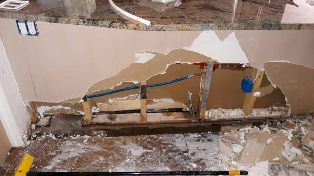 Best Carpet water damage restoration  in High Rolls, NM