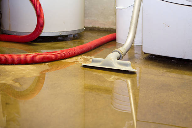 Best Water damage contractors near me  in High Rolls, NM
