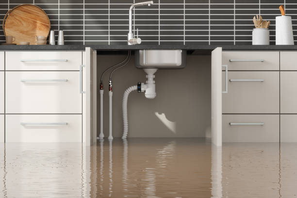 Best Ceiling water damage repair  in High Rolls, NM