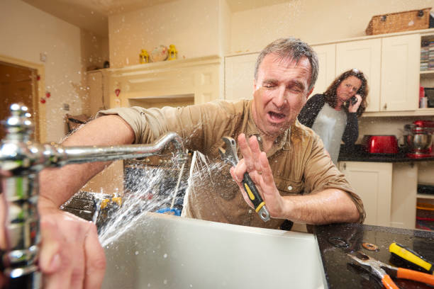  High Rolls, NM Water damage restoration Pros